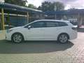 Toyota Corolla Touring Sports Touring Sports 1.8h Business cvt Bianco - thumbnail 5