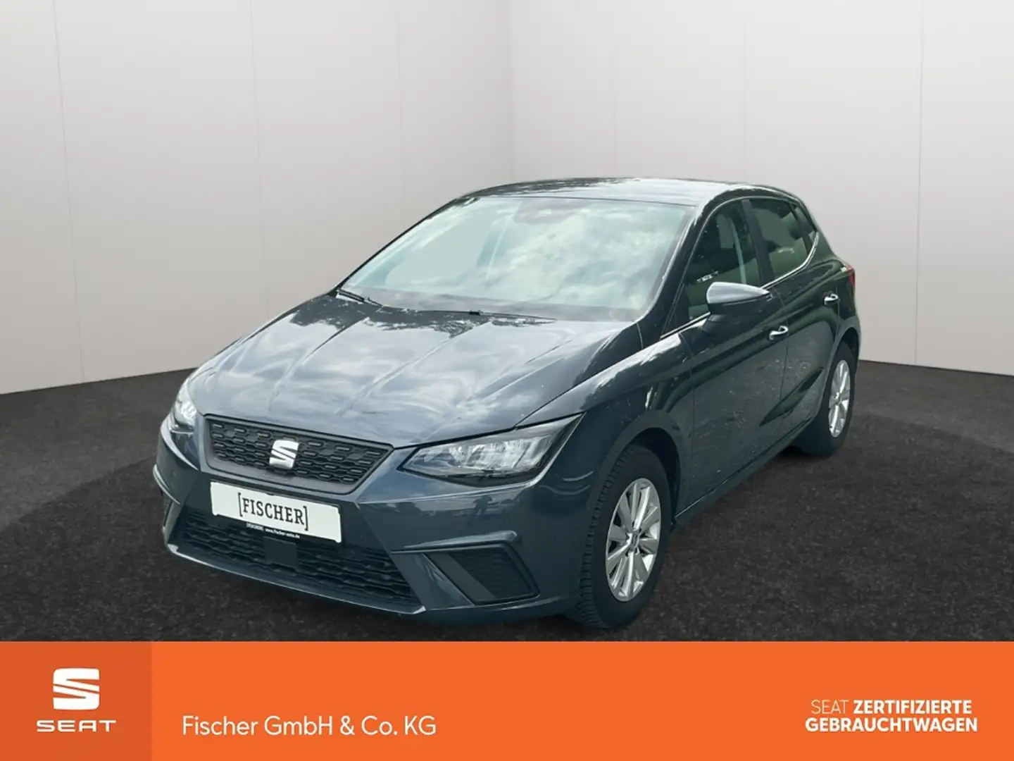 SEAT Ibiza 1.0TSI DSG Style Edition LED Navi SHZ Rear View Grau - 1