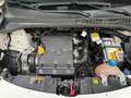 Fiat 500L 1.4 95 CV S&S Cross Bianco - thumbnail 14