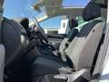 SEAT Alhambra 2.0 TDI Style 169€ m. 20% Anzahlung STHZ Panoram Weiß - thumbnail 11