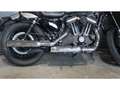 Harley-Davidson Roadster Sport/tour Gris - thumbnail 6