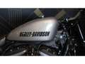 Harley-Davidson Roadster Sport/tour Gris - thumbnail 5