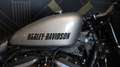 Harley-Davidson Roadster Gris - thumbnail 5