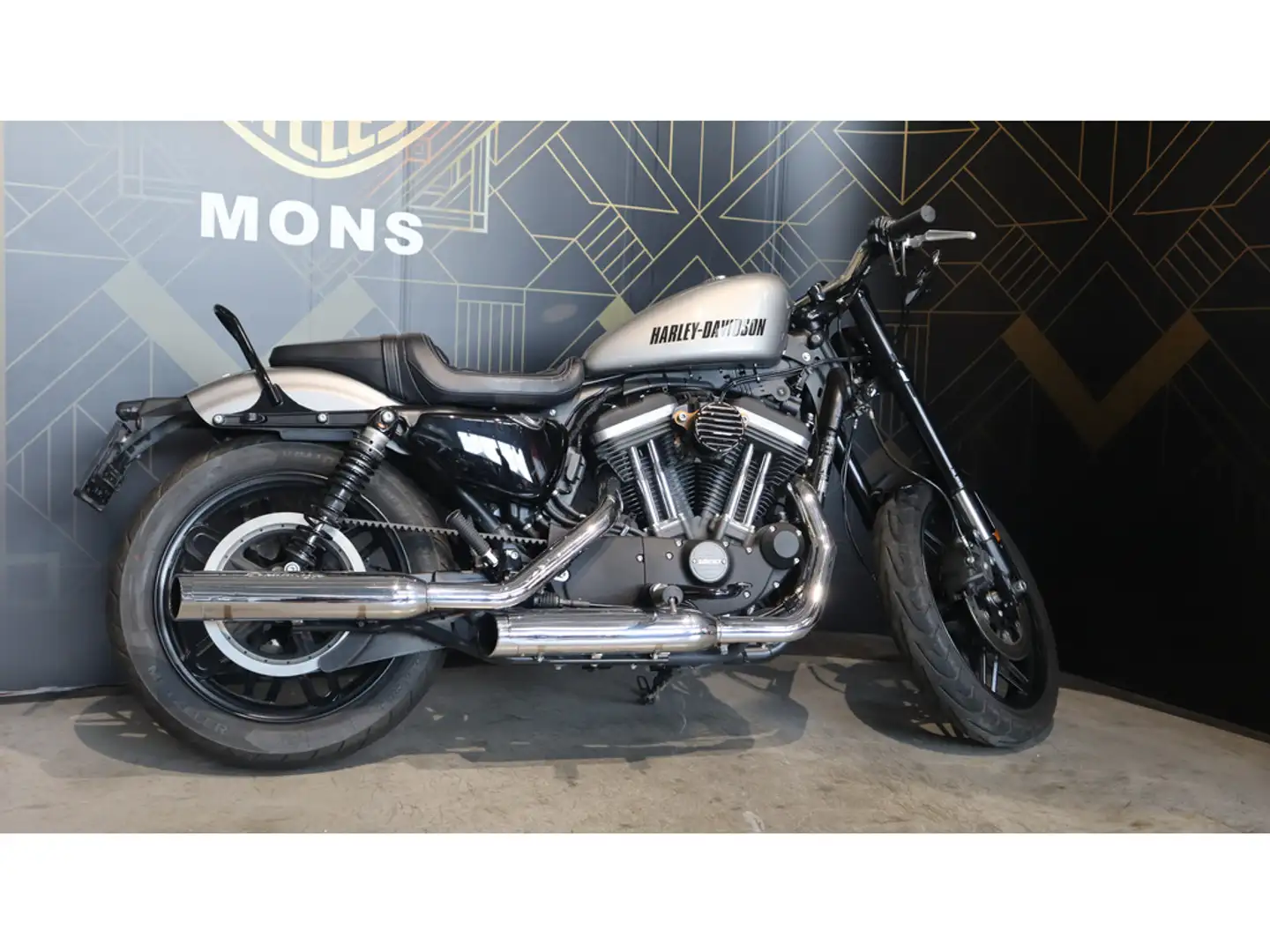 Harley-Davidson Roadster Sport/tour Gris - 2