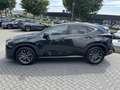 Lexus NX 450h+ AWD Luxury Line TREKHAAK STOELVERW STUURVERW GROOT Negro - thumbnail 6