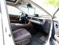 Lexus RX 450h 4WD President Line | Mark Levinson | Panoramadak | Wit - thumbnail 12