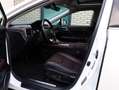 Lexus RX 450h 4WD President Line | Mark Levinson | Panoramadak | Wit - thumbnail 3