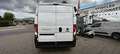 Fiat Ducato Fg. 35 2.2Mjt L2 H2 Easy Pro 140CV Blanco - thumbnail 5