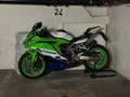Kawasaki Ninja ZX-4RR Kawasaki Ninja ZX-4RR 40th Anniversary Edition Verde - thumbnail 22