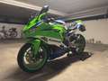 Kawasaki Ninja ZX-4RR Kawasaki Ninja ZX-4RR 40th Anniversary Edition Verde - thumbnail 2