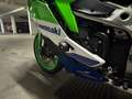 Kawasaki Ninja ZX-4RR Kawasaki Ninja ZX-4RR 40th Anniversary Edition Verde - thumbnail 19