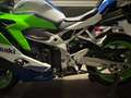 Kawasaki Ninja ZX-4RR Kawasaki Ninja ZX-4RR 40th Anniversary Edition Verde - thumbnail 9