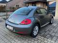 Volkswagen Beetle The Beetle 1.6 TDI DPF Exclusive Design Gris - thumbnail 4