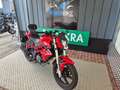 Benelli BN 125 Rosso - thumbnail 3