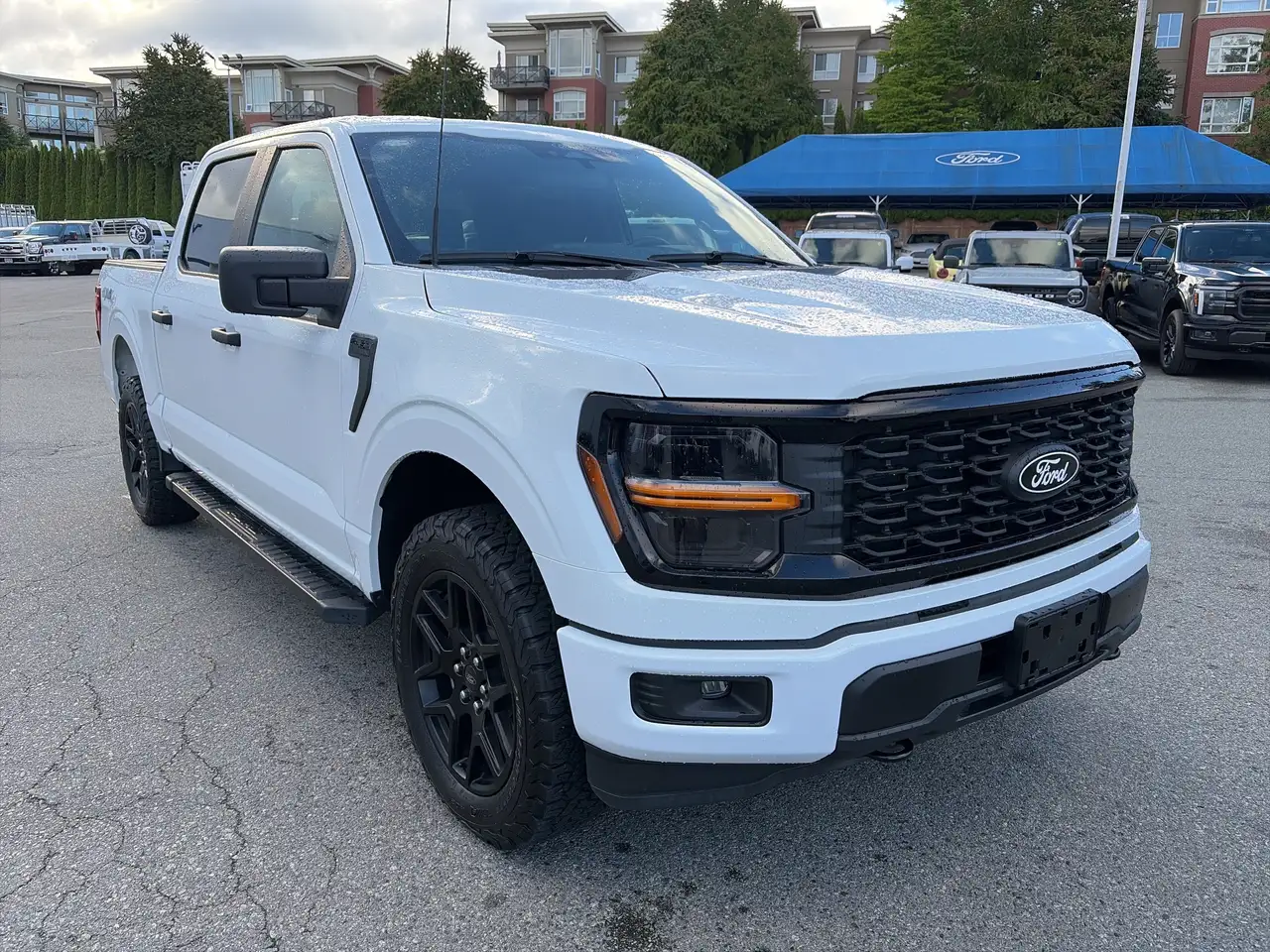 Ford F 150 снимка Ford F 150