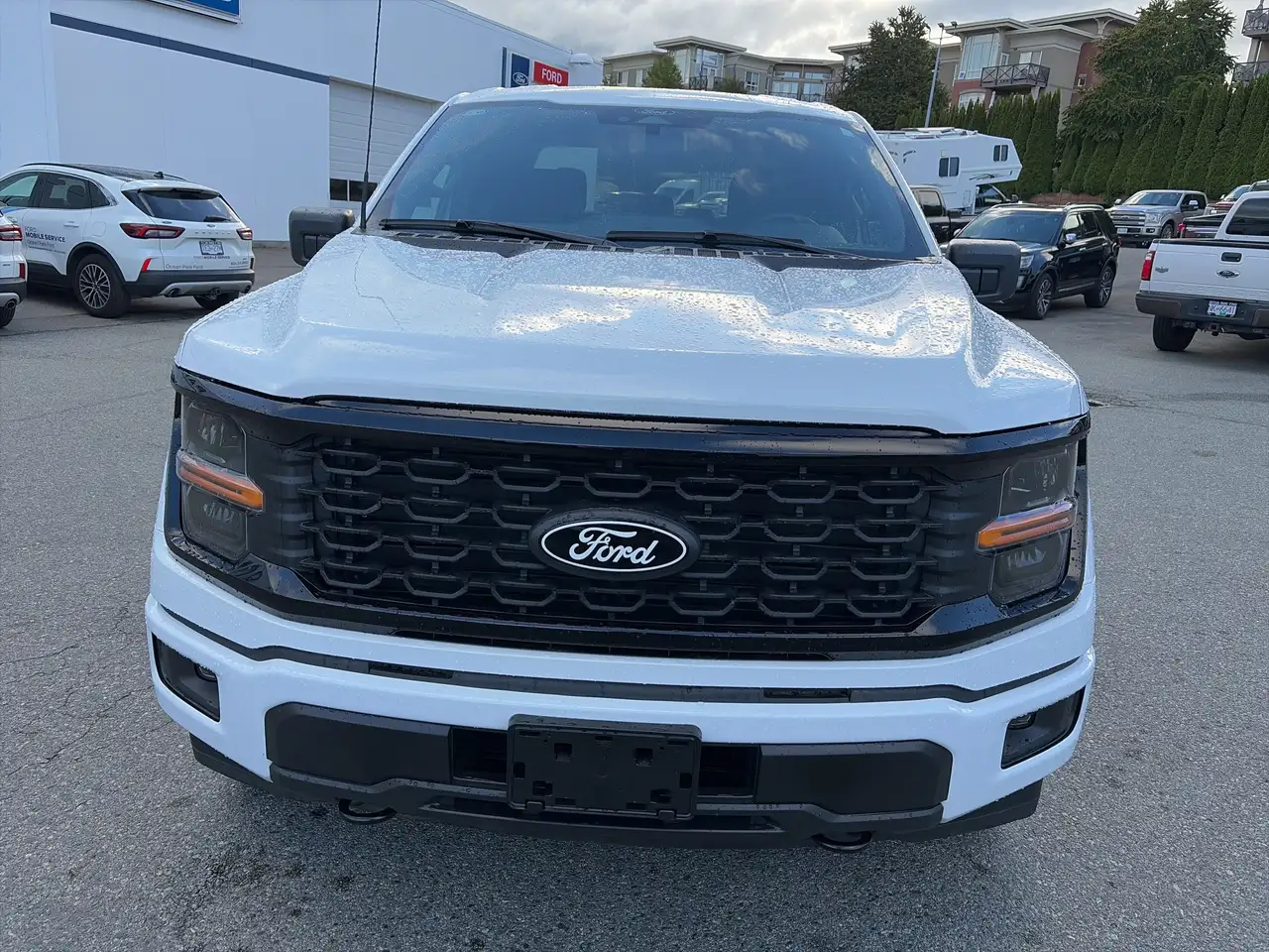 Ford F 150 снимка Ford F 150