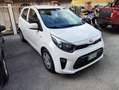 Kia Picanto 1.0 12V 5p. Urban Wit - thumbnail 2