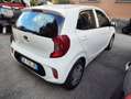 Kia Picanto 1.0 12V 5p. Urban Wit - thumbnail 3