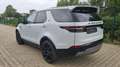 Land Rover Discovery 5  SD4 241 PS Weiß - thumbnail 4