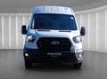 Ford Transit Trend 350 EXPRESS-LINE L3H3 AUT | KLIMAAUT | GRA | Blanco - thumbnail 29