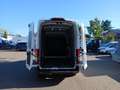 Ford Transit Trend 350 EXPRESS-LINE L3H3 AUT | KLIMAAUT | GRA | Weiß - thumbnail 11