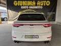 Porsche Cayenne Coupe 3.0 tiptronic Bianco - thumbnail 5