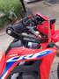 Honda CRF 300 L Rot - thumbnail 8