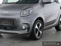 smart forTwo fortwo EQ Cabrio Exclusive Plus+22kW+Kamera+Winter Gris - thumbnail 3