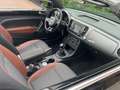 Volkswagen Beetle Cabrio 1.2 TSI Allstar. Navigatie, Camera. Etc. Black - thumbnail 12