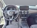 Mercedes-Benz B 200 d Austria Night Edition/AHK/Rückfahrkamera Blanc - thumbnail 17