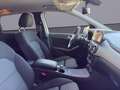 Mercedes-Benz B 200 d Austria Night Edition/AHK/Rückfahrkamera Weiß - thumbnail 15