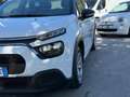 Citroen C3 Citroen C3 BlueHDi 100 S&S Business Combi Bianco - thumbnail 4