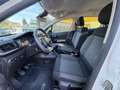 Citroen C3 Citroen C3 BlueHDi 100 S&S Business Combi Bianco - thumbnail 5