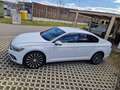 Volkswagen Passat Passat Business 2,0 SCR TDI DSGBusiness Weiß - thumbnail 17