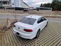 Volkswagen Passat Passat Business 2,0 SCR TDI DSGBusiness Weiß - thumbnail 12