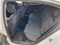 Volkswagen Passat Passat Business 2,0 SCR TDI DSGBusiness Weiß - thumbnail 14