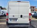 Fiat Ducato 35 3.0 MJT PM-TM Furgone Білий - thumbnail 6