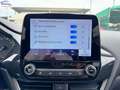 Ford Puma 1.5 EcoBlue 120CV S&S Titanium X Grigio - thumbnail 17