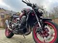 Kawasaki Z 900 Rood - thumbnail 2