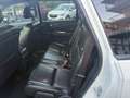 Fiat Freemont Freemont 2.0 mjt 16v Lounge 140cv E5+ Blanco - thumbnail 12