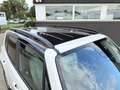 Jeep Renegade 1.6 Mjt DDCT 120 CV Limited LED - BT - PELLE - 17 Blanc - thumbnail 8