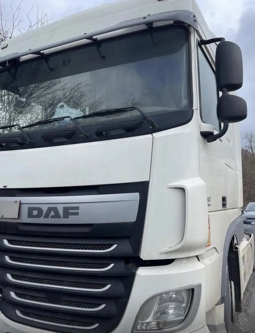DAF Sonstige DAF XF 460 - 1