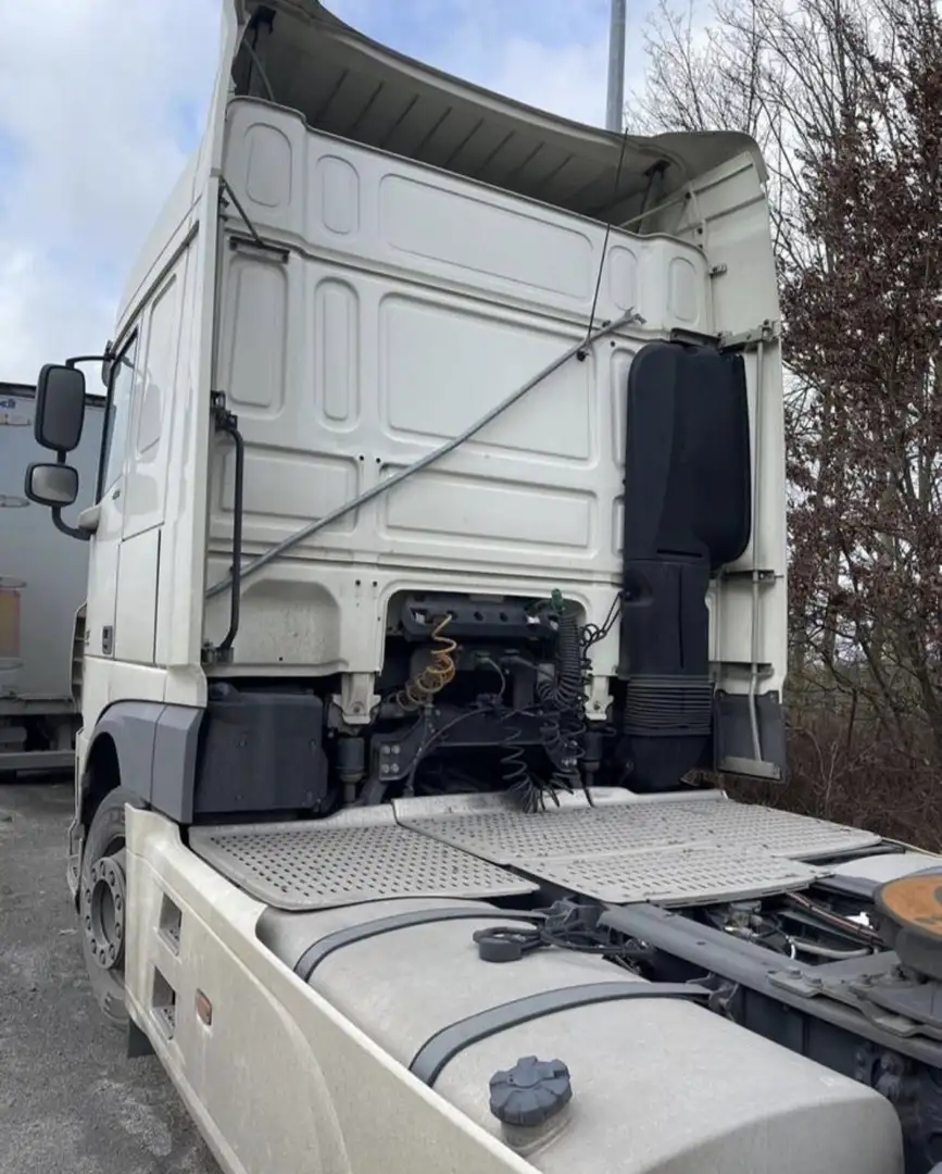DAF Sonstige DAF XF 460 - 2