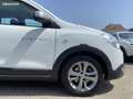 Dacia Lodgy 1.2 TCE 115CH STEPWAY EURO6 5 PLACES Blanc - thumbnail 18