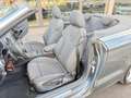 Audi A3 A3 Cabrio 1.6 TDI 116 CV Business Grau - thumbnail 11