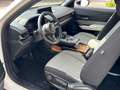 Mazda MX-30 MX-30 e-SKYACTIV / 21000km / Fabriekswb Blanc - thumbnail 11