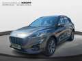 Ford Kuga ST-Line X LED ACC TWA 18 Grau - thumbnail 2