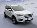Ford Kuga 2.0 TDCI 150 CV S&S 4WD Powershift Business Weiß - thumbnail 2