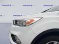 Ford Kuga 2.0 TDCI 150 CV S&S 4WD Powershift Business Weiß - thumbnail 6