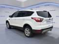 Ford Kuga 2.0 TDCI 150 CV S&S 4WD Powershift Business Weiß - thumbnail 3